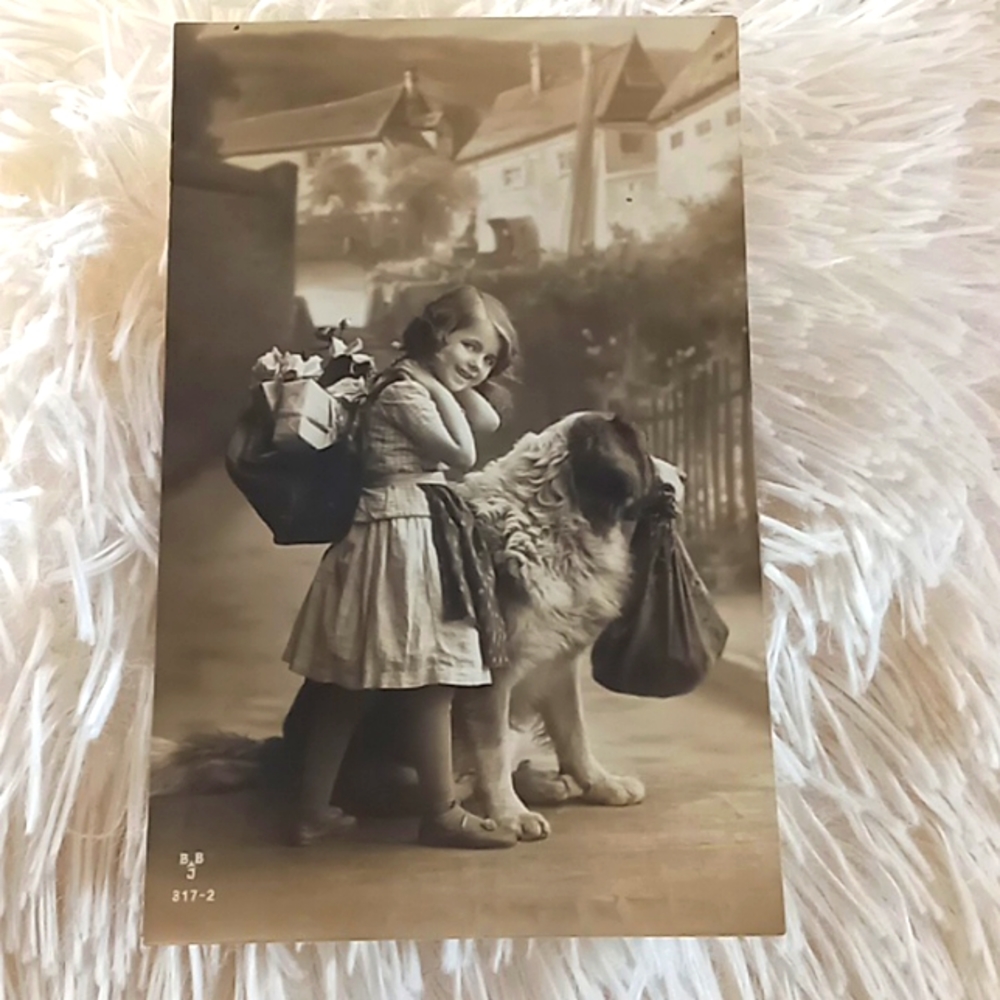 Vintage Portuguese Postcard